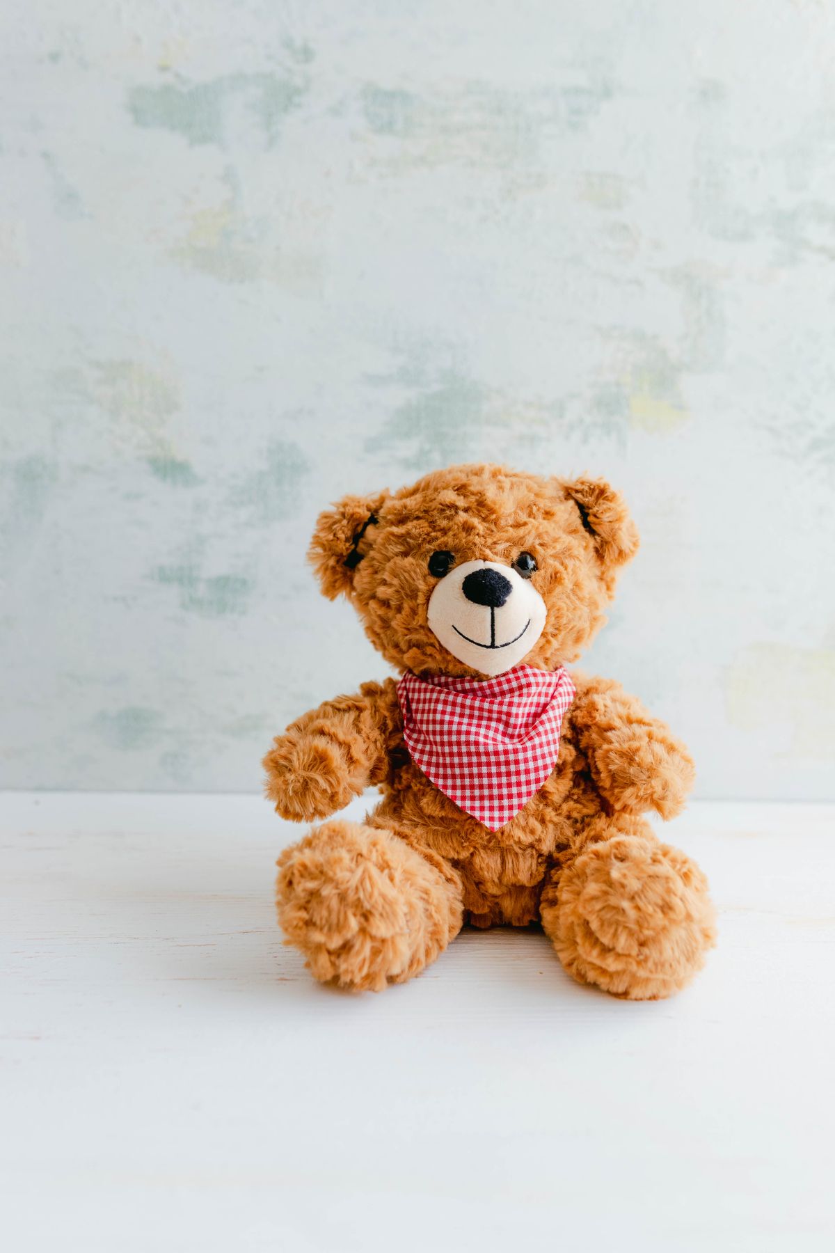 A cheerful brown teddy bear with a red checked scarf