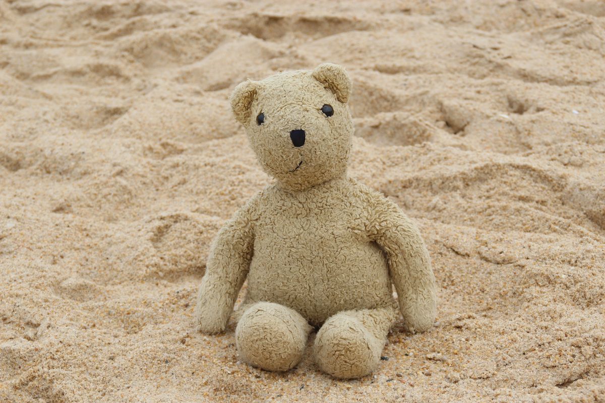 A soft teddy bear sitting on warm beach sand